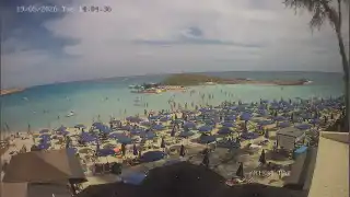 Mai 19, 2026