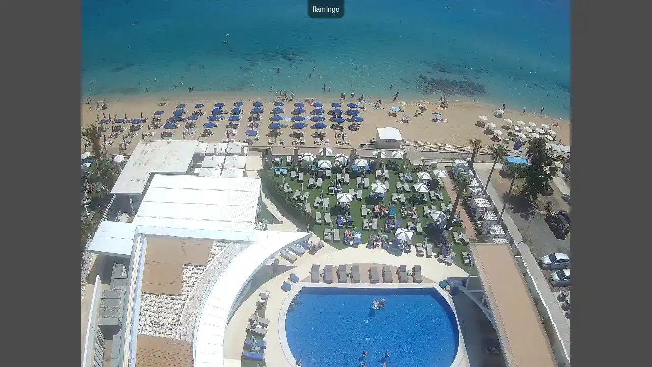 Webcam-Aufnahme aus :city — 17. Juni 2026 08:00